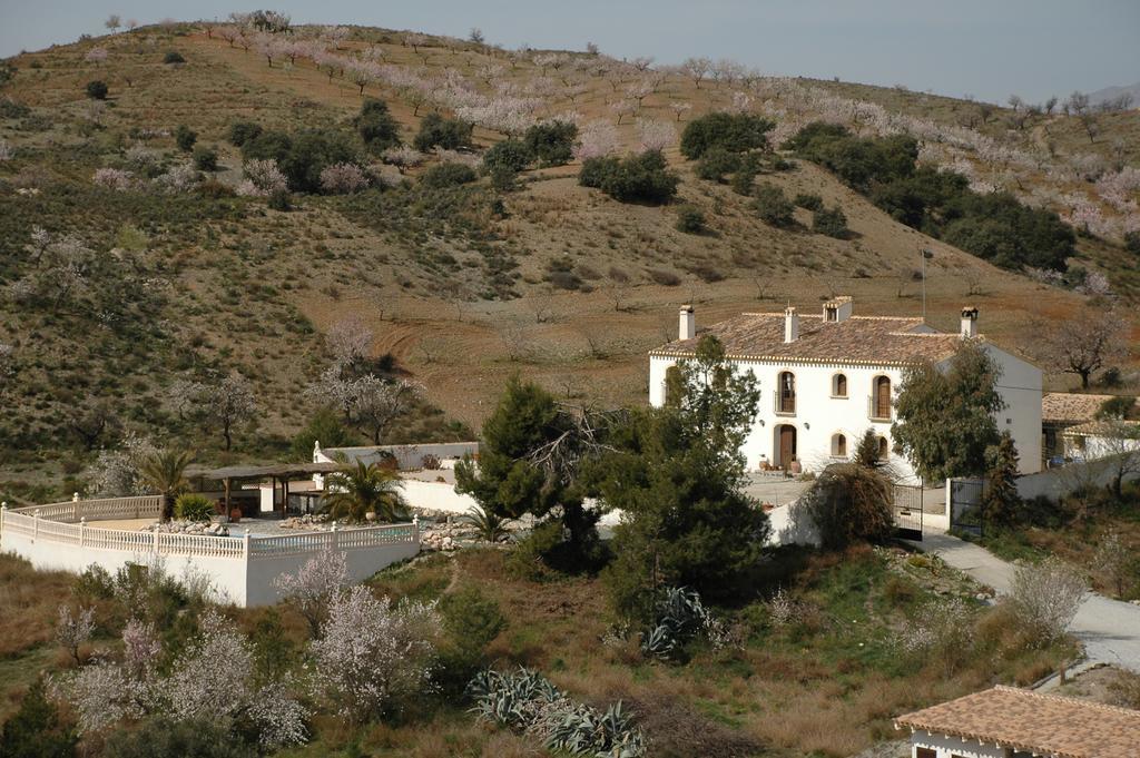 Hotel Los Sibileys Henares Exterior photo